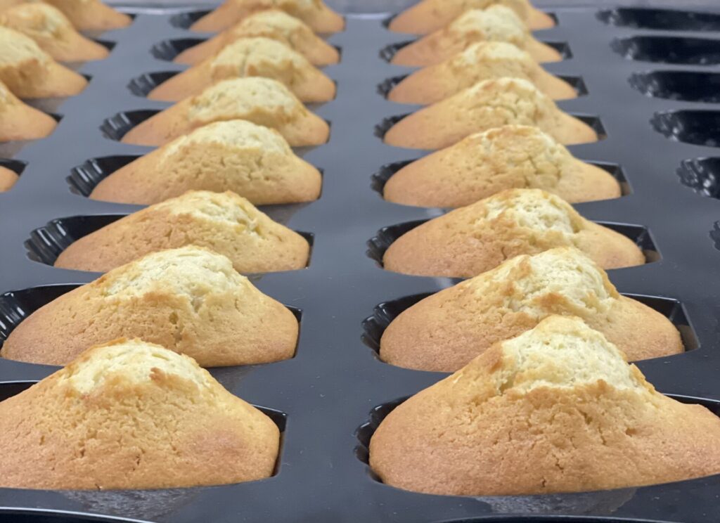 French Madeleines