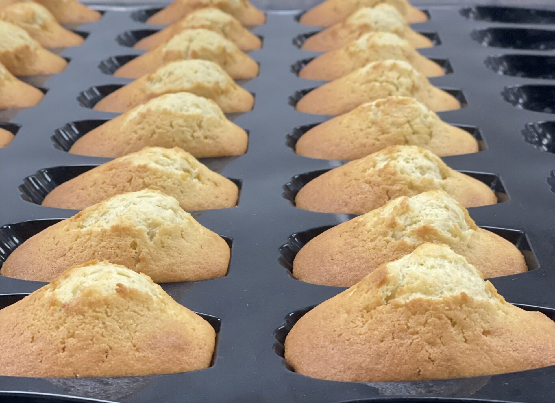 French Madeleines